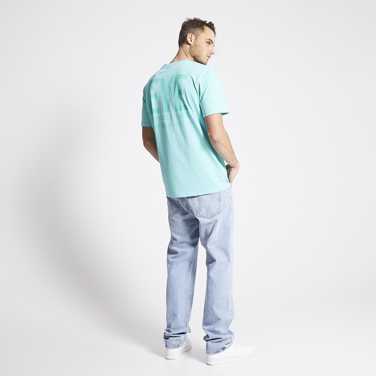 T-shirt "Fenix"